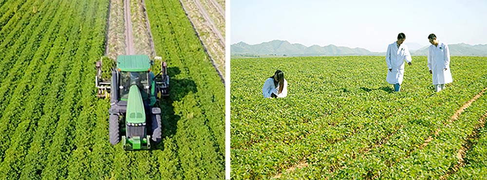 遼寧正業(yè)花生產(chǎn)業(yè)：共抗疫情，龍頭企業(yè)顯擔(dān)當(dāng)！(圖3)