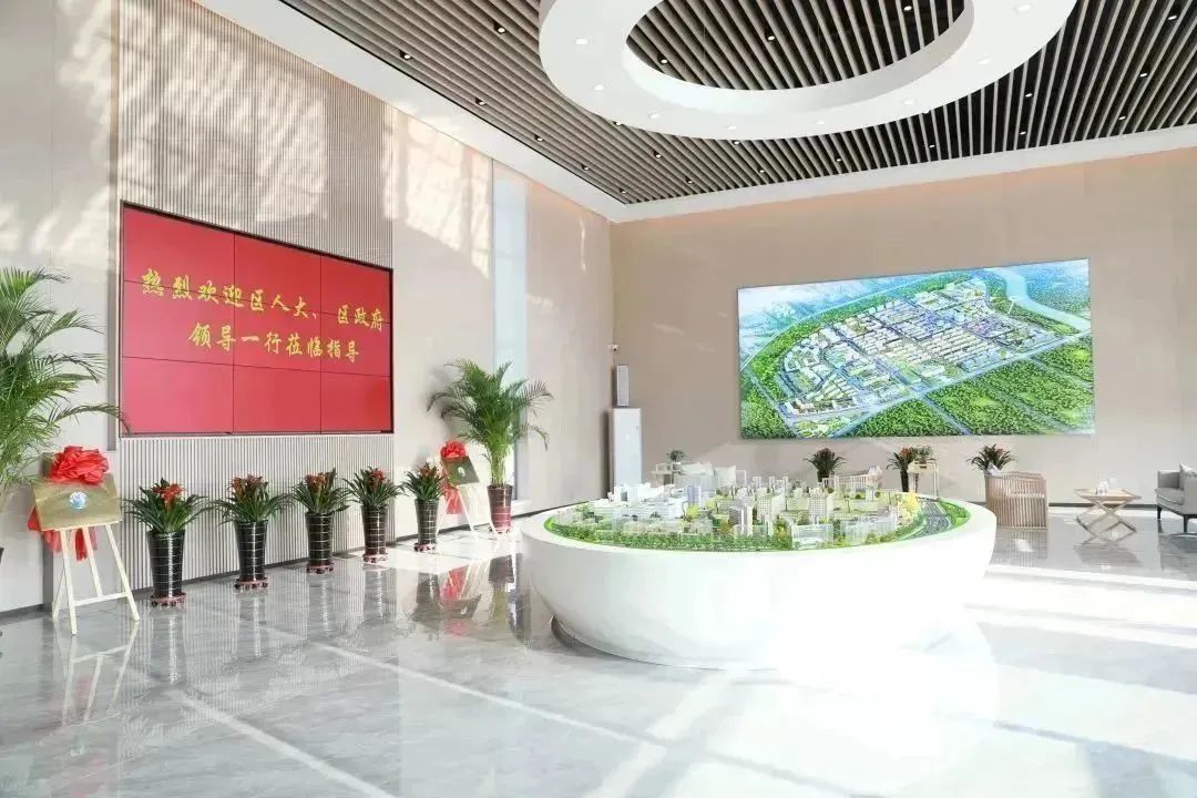 龍港區(qū)人大、區(qū)政府領(lǐng)導(dǎo)一行視察調(diào)研龍港國際醫(yī)療健康產(chǎn)業(yè)園(圖2)